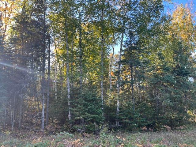 Tbd Lost Lake Rd. Property Photo 8