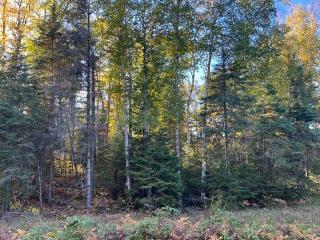 Tbd Lost Lake Rd. Property Photo 9