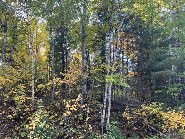 Tbd Lost Lake Rd. Property Photo 10