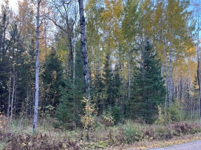 Tbd Lost Lake Rd. Property Photo 12