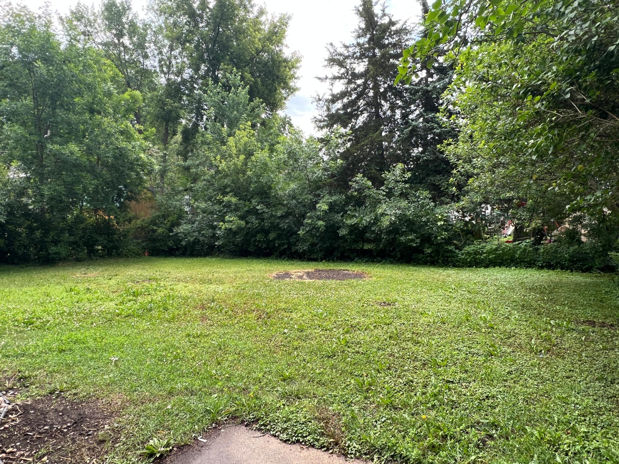 1405 W Clark Street Property Photo 6