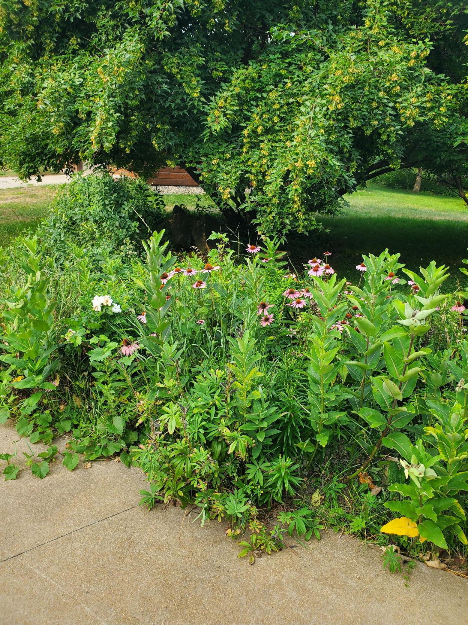 18130 County 18 Property Photo 45