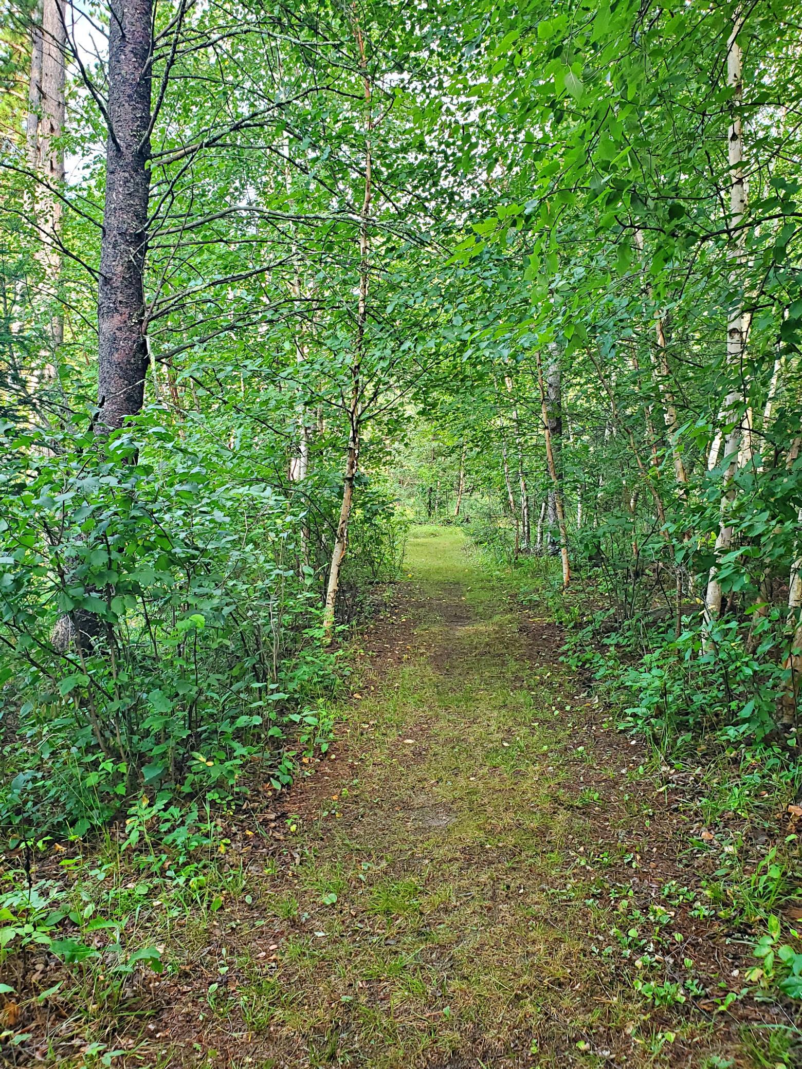 18130 County 18 Property Photo 49