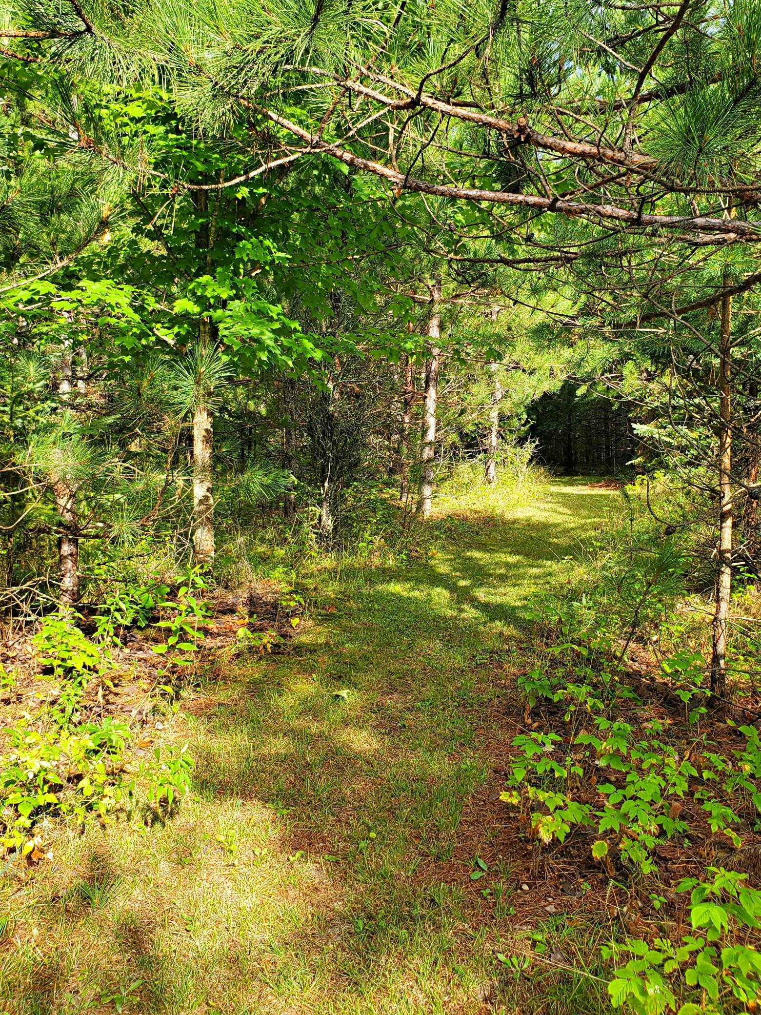 18130 County 18 Property Photo 51