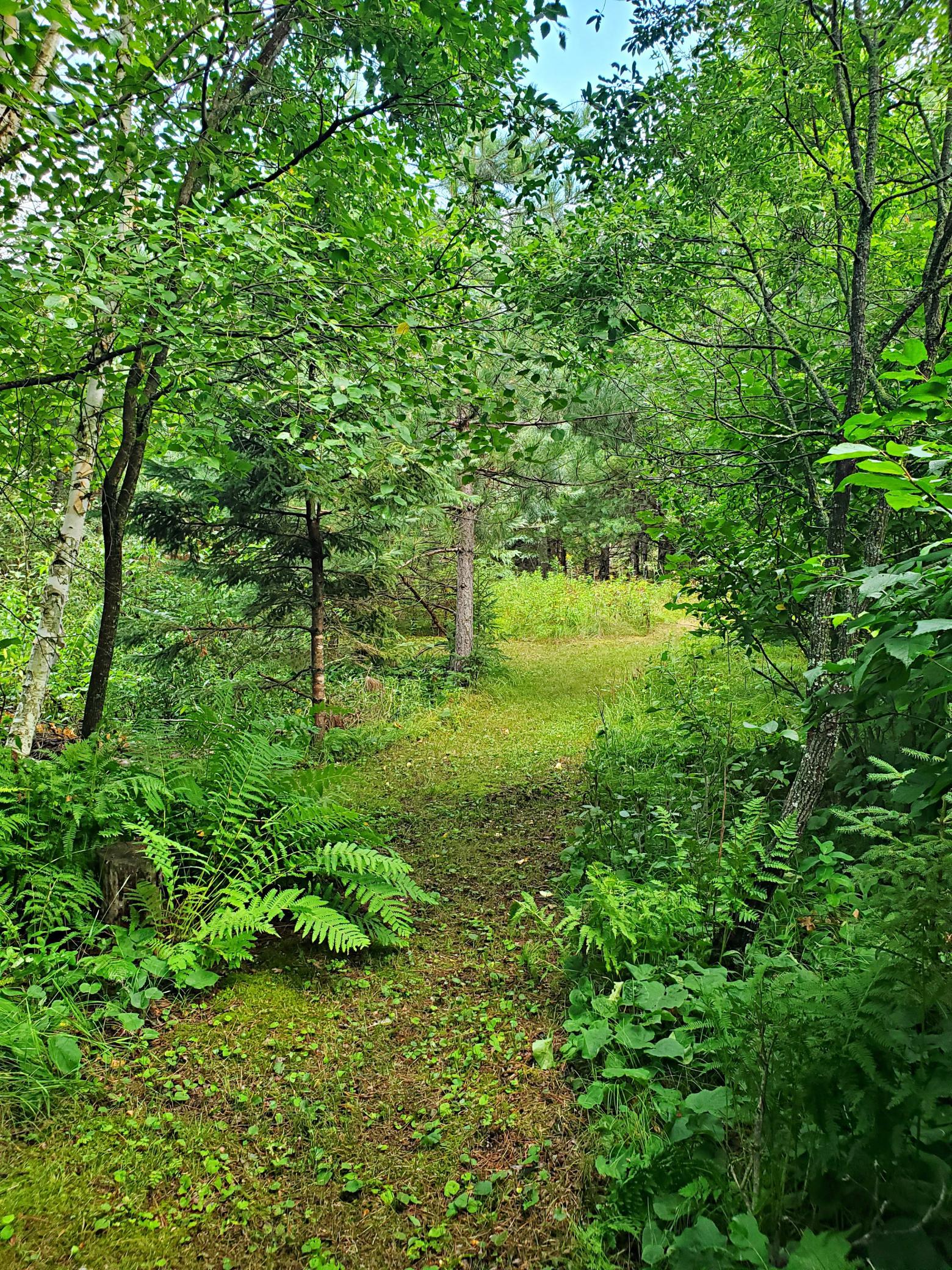 18130 County 18 Property Photo 53