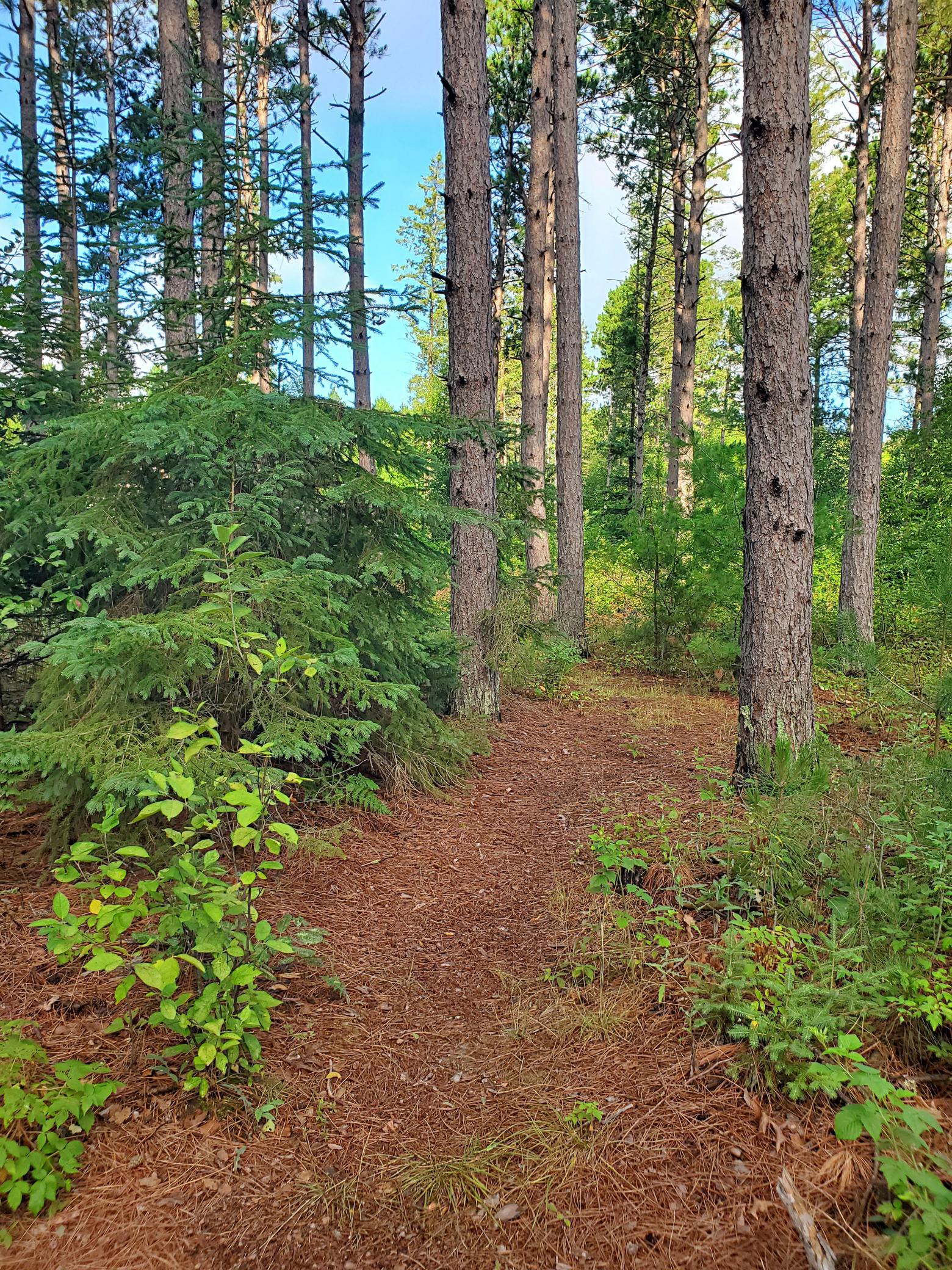 18130 County 18 Property Photo 55