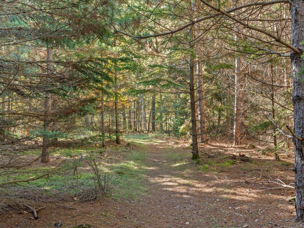 18130 County 18 Property Photo 60