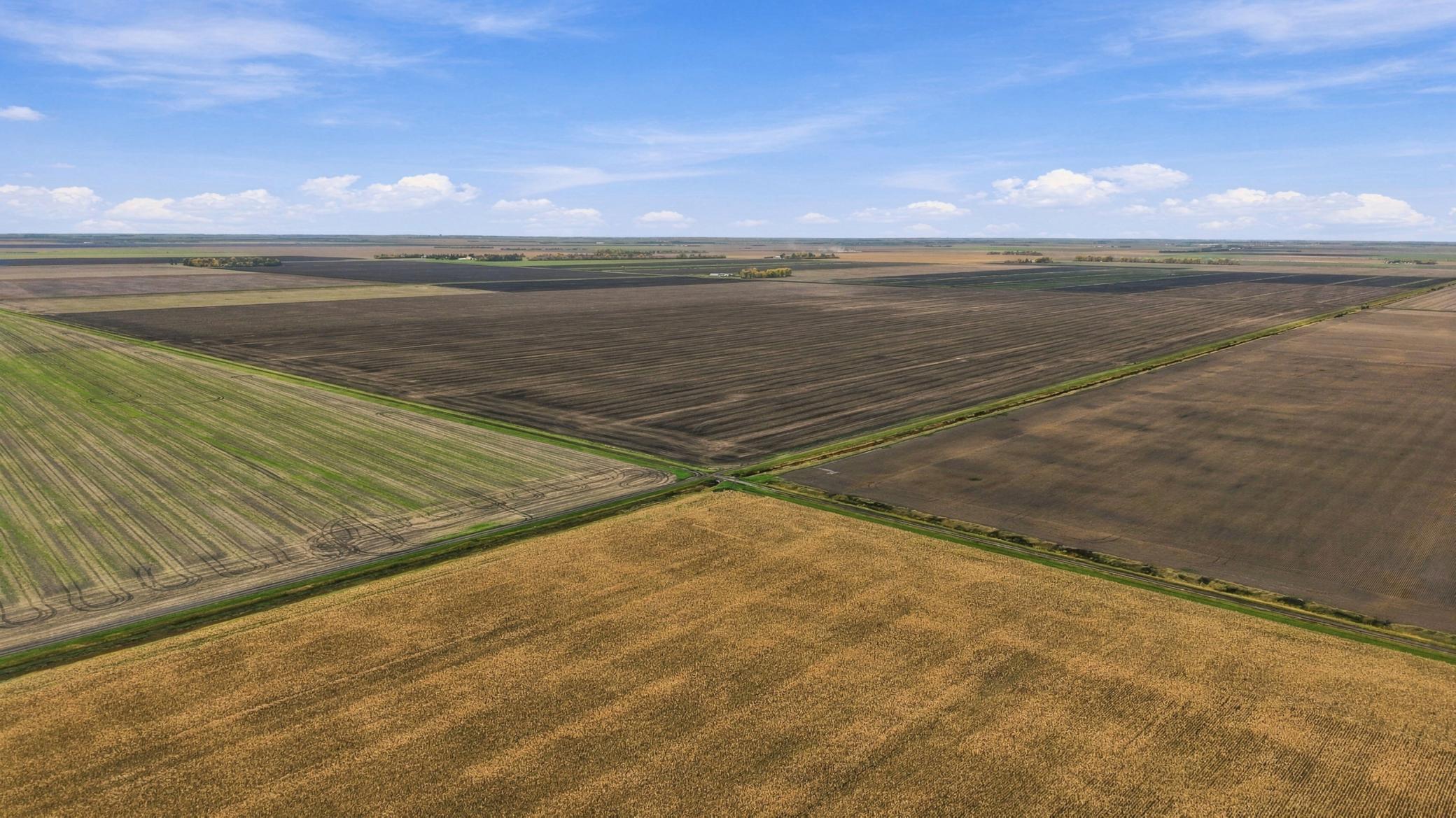000 Rural Property Photo 7