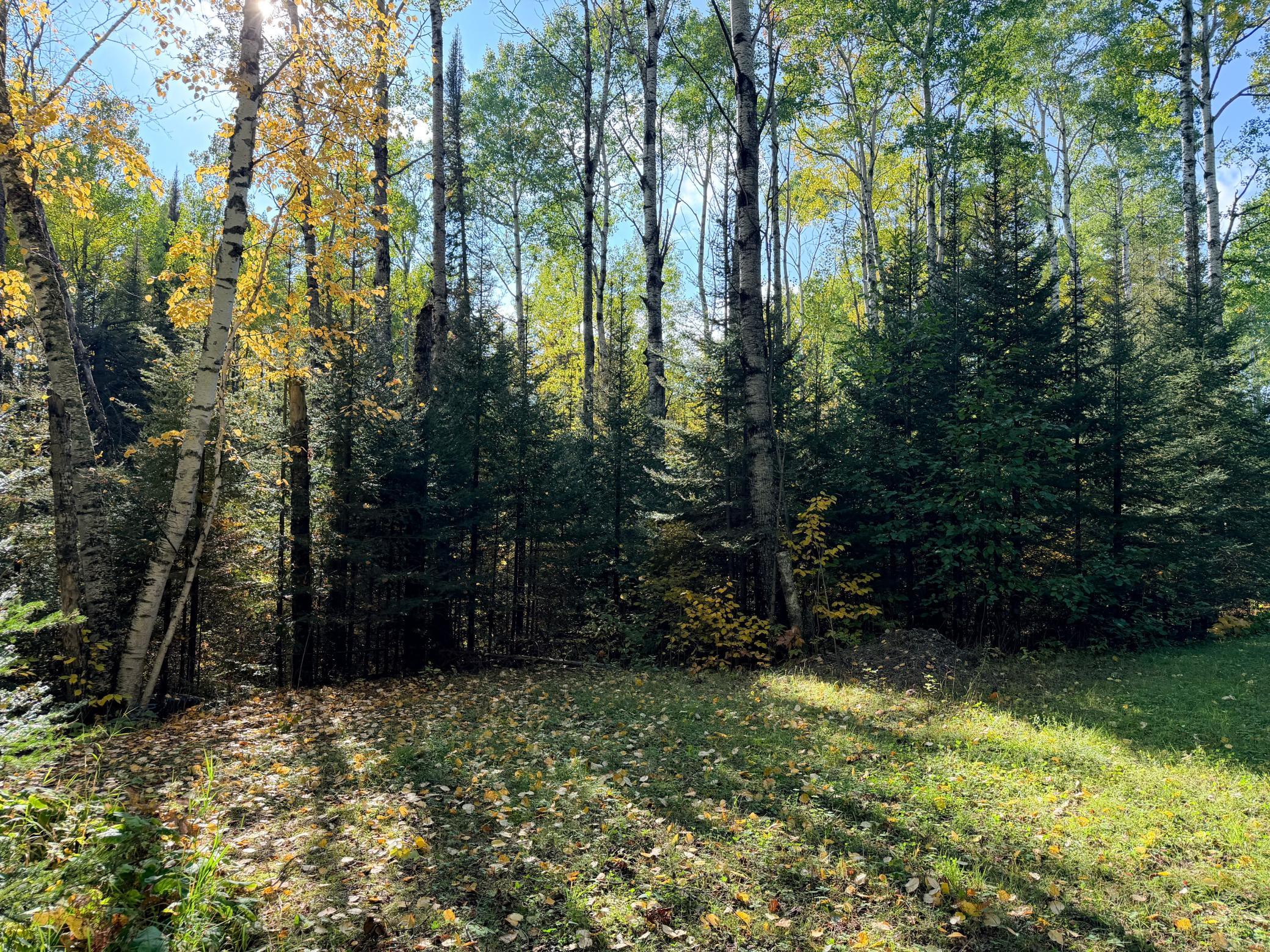 4603 North Road Property Photo 3