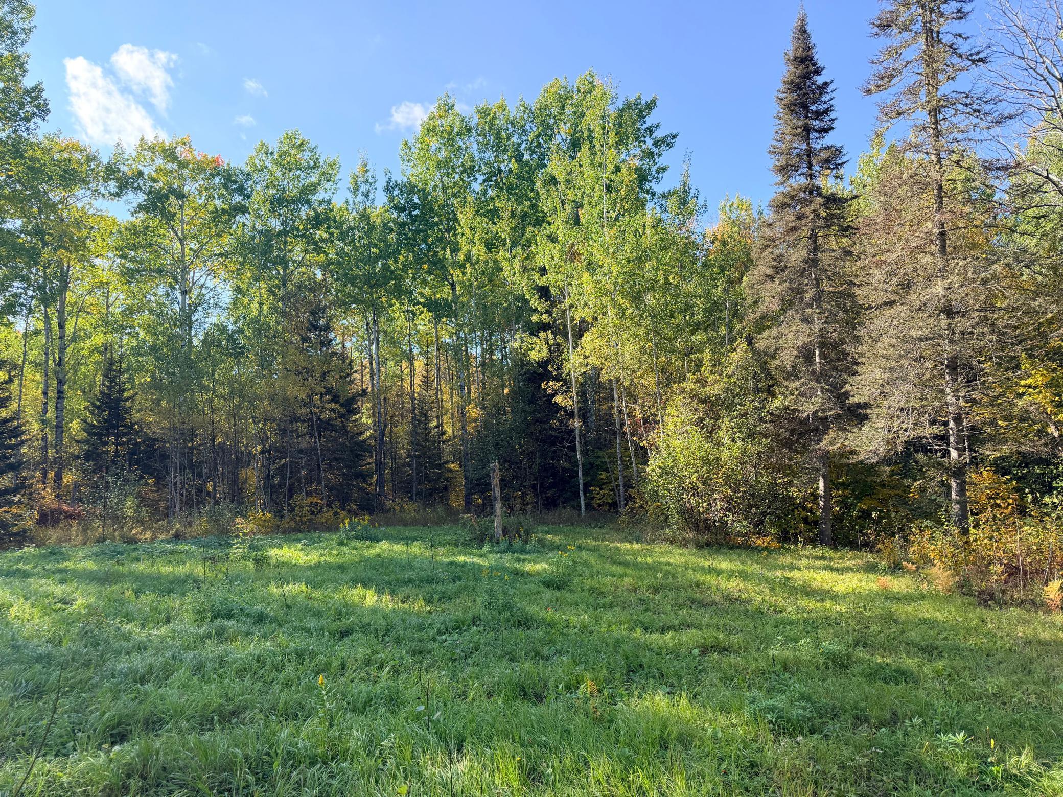 4603 North Road Property Photo 25