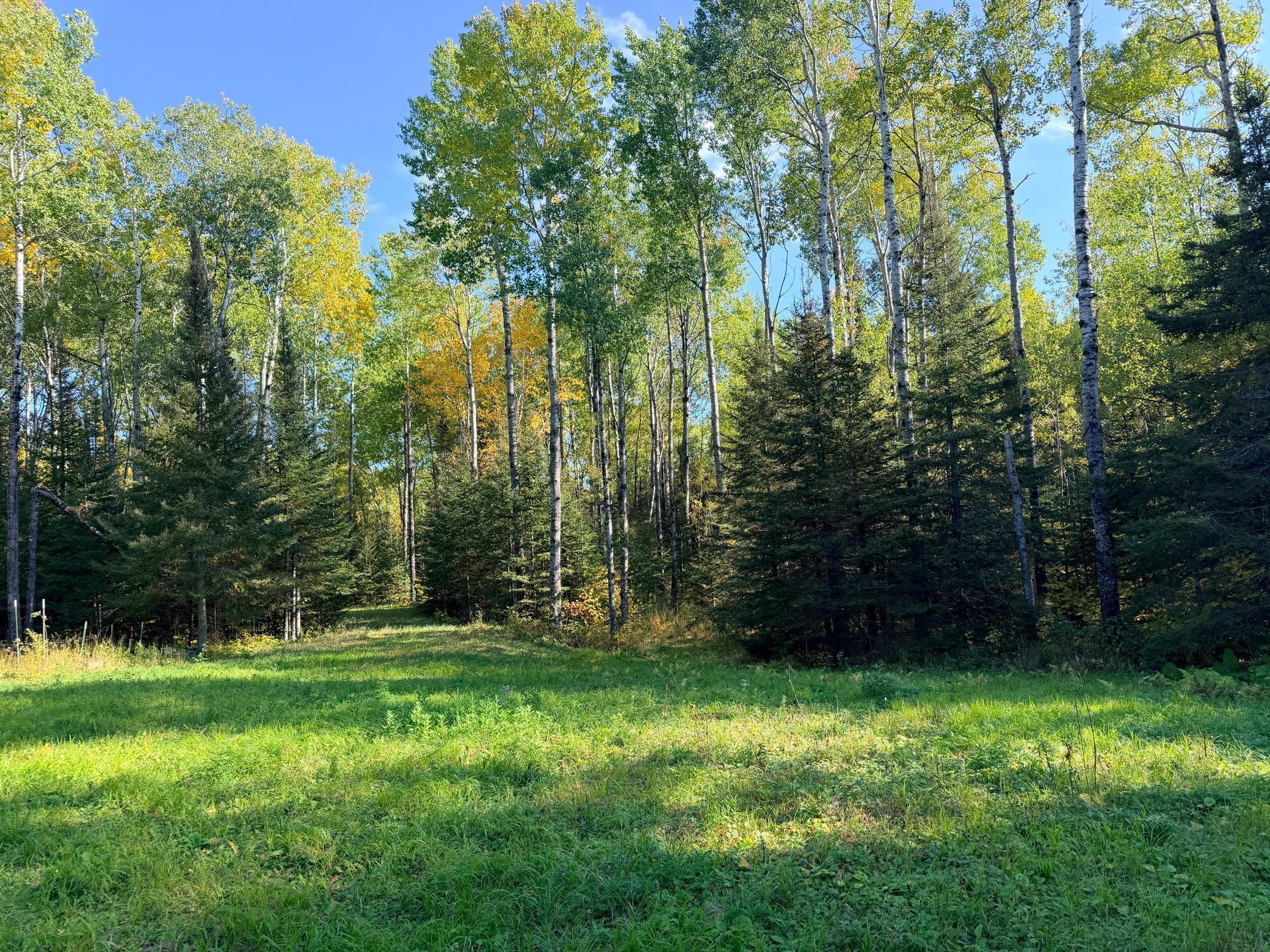 4603 North Road Property Photo 30