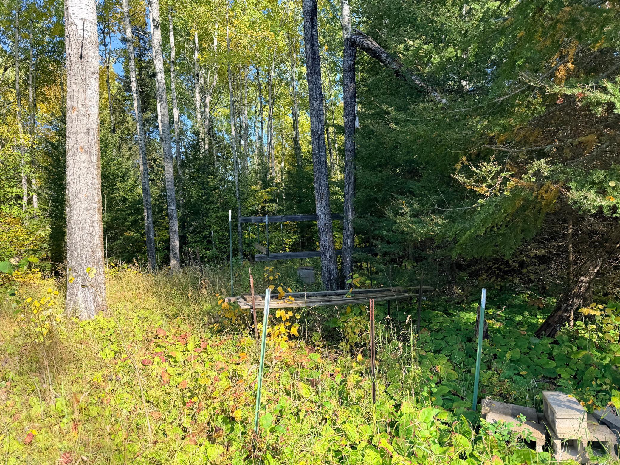 4603 North Road Property Photo 33