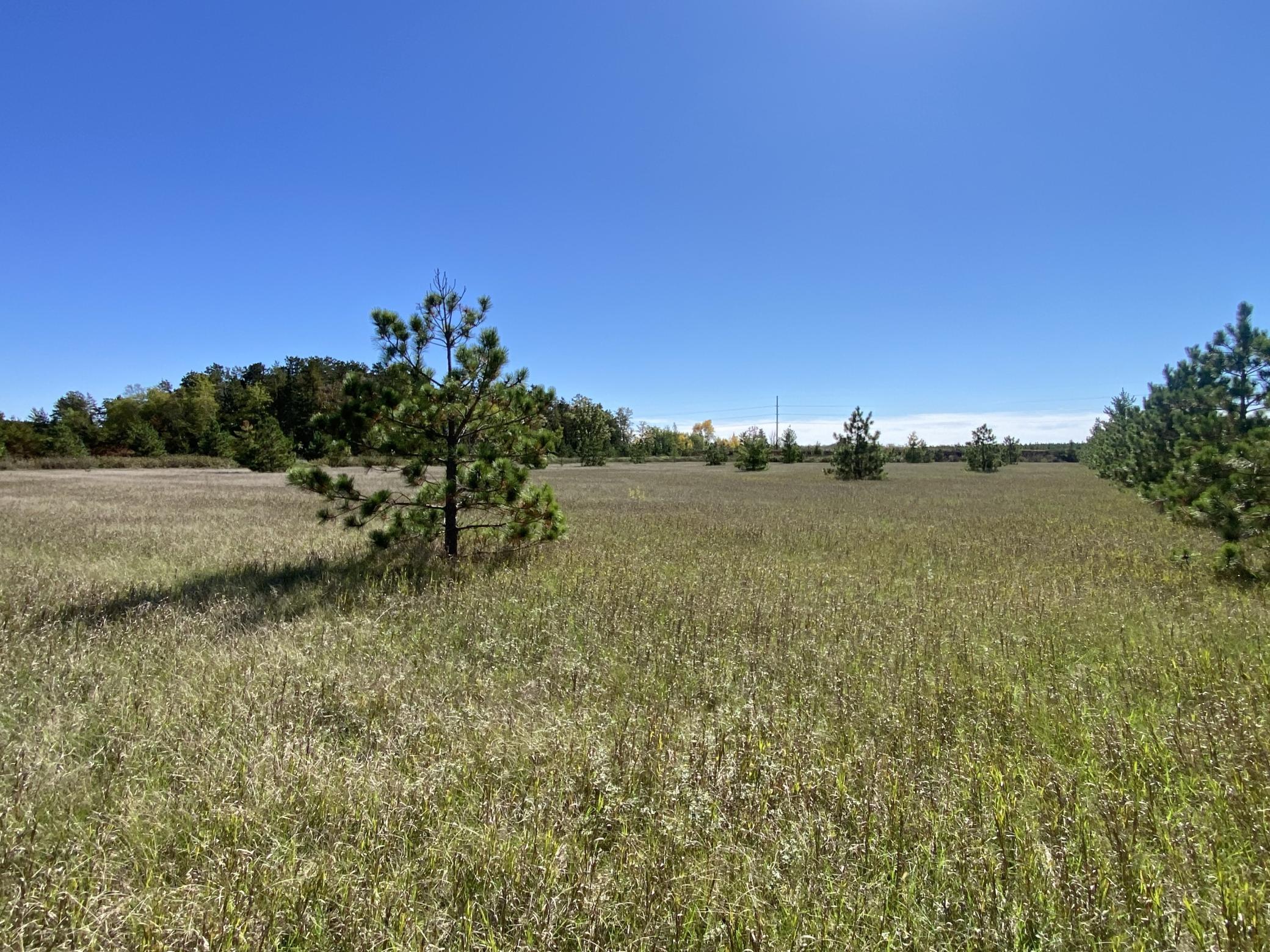 Tbd Crooked River Dr - Tract D Property Photo 3
