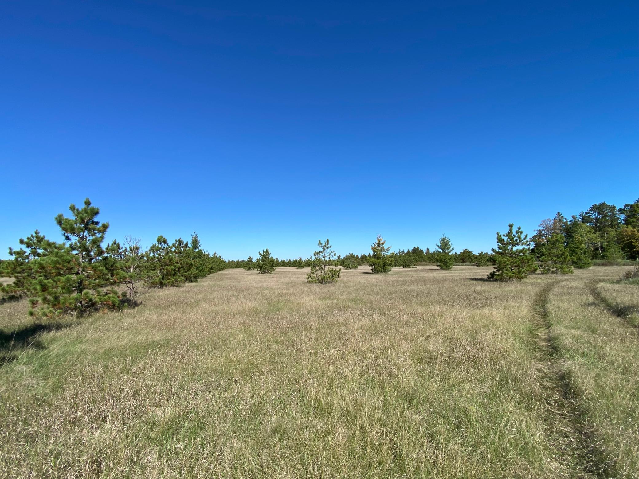 Tbd Crooked River Dr - Tract D Property Photo 4