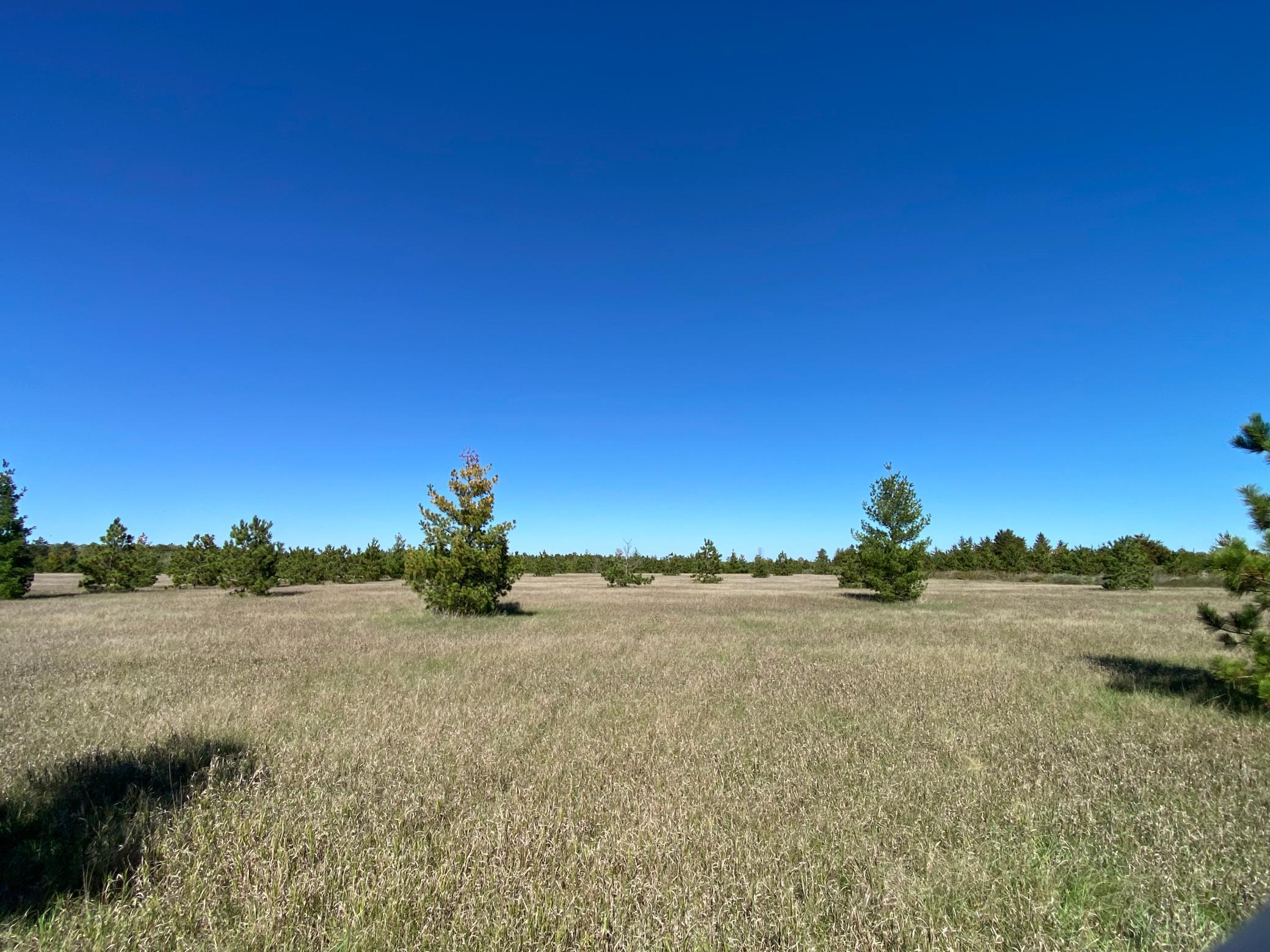 Tbd Crooked River Dr - Tract D Property Photo 5