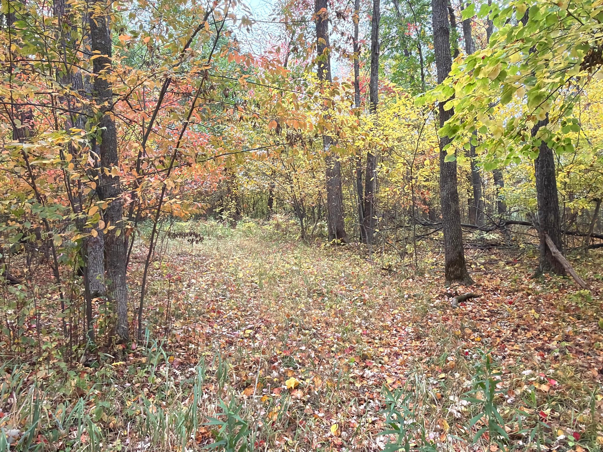 0 Klarquist Road Property Photo 1