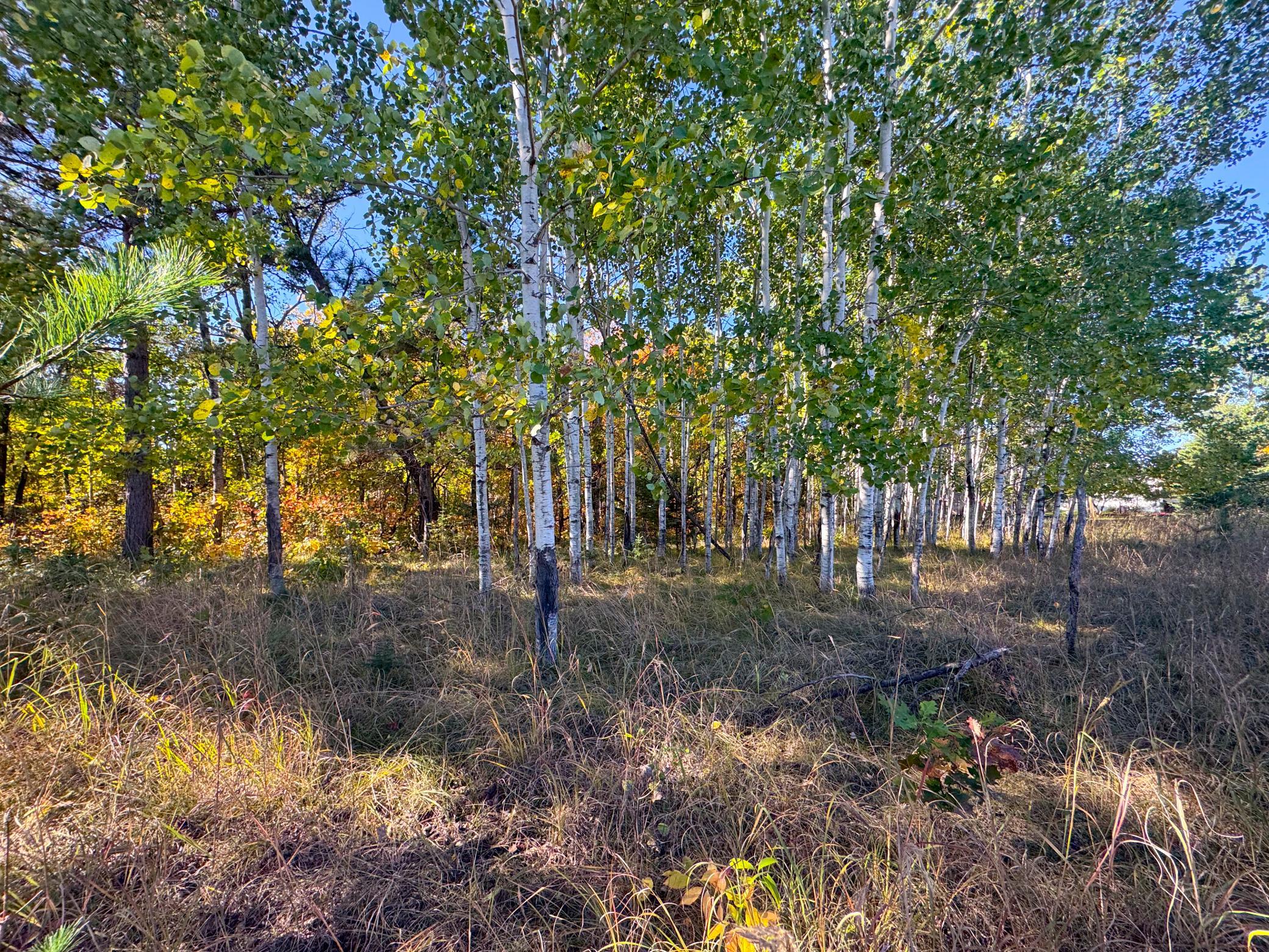 Tbd Golf View Drive Ne Property Photo 4
