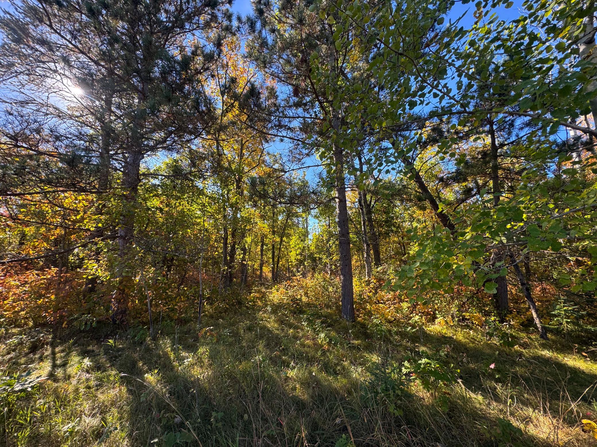 Tbd Golf View Drive Ne Property Photo 5