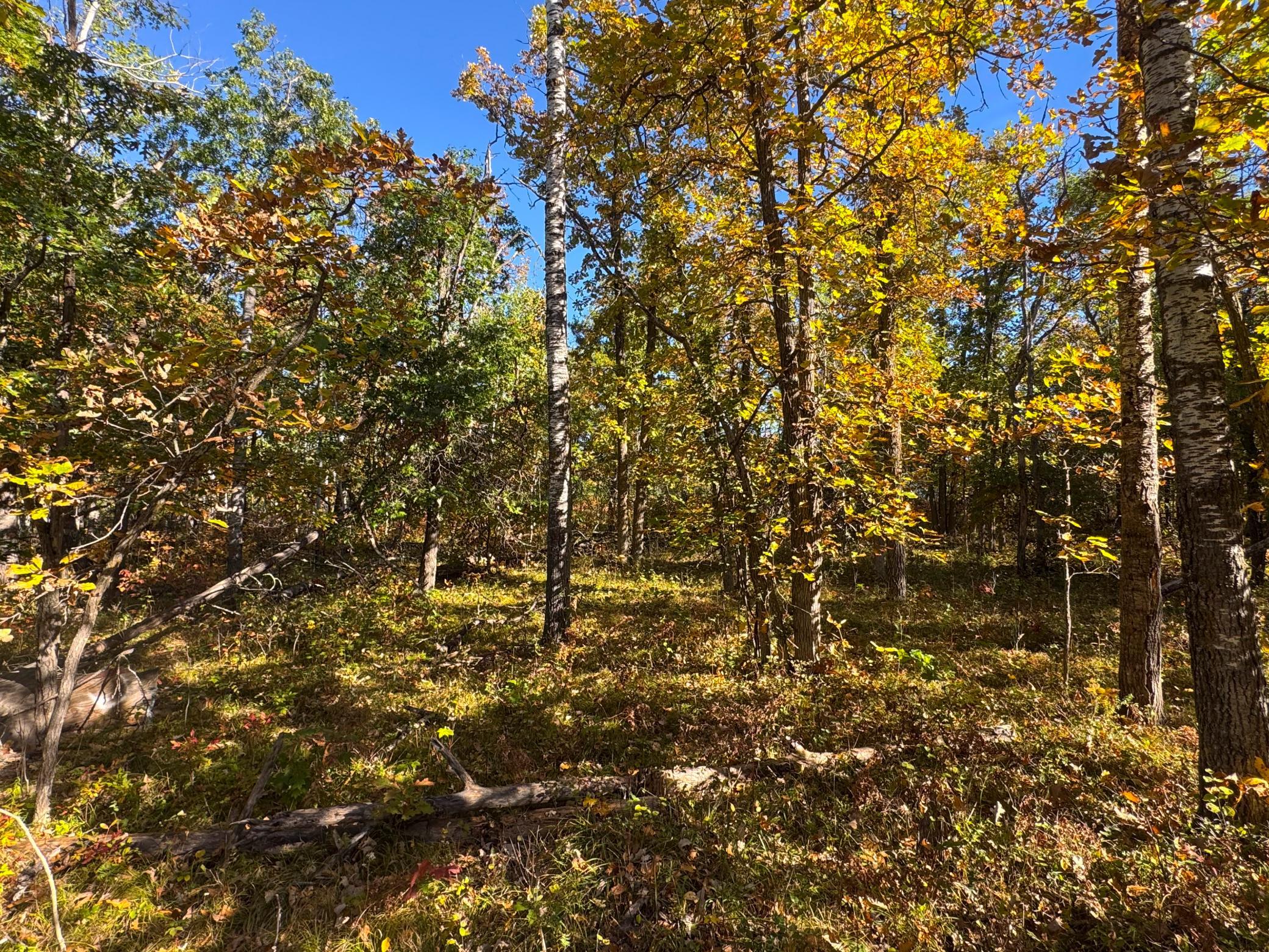 Tbd Golf View Drive Ne Property Photo 7
