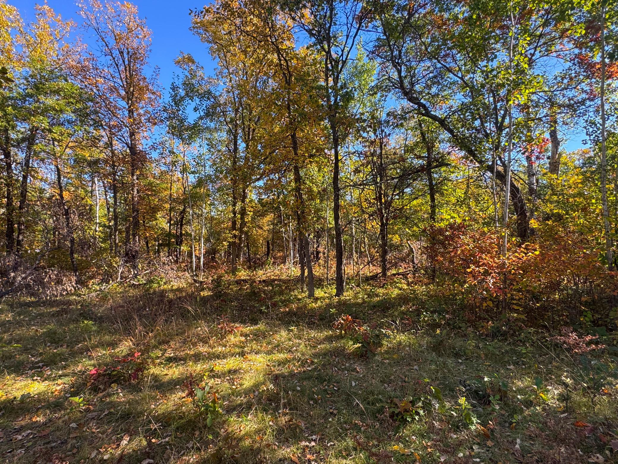 Tbd Golf View Drive Ne Property Photo 8