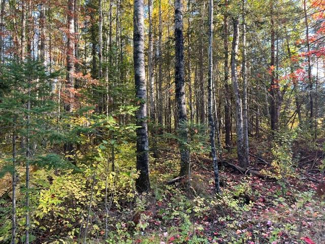 Tbd S Loon Lake Rd. Property Photo 6