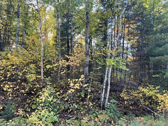 Tbd S Loon Lake Rd. Property Photo 12