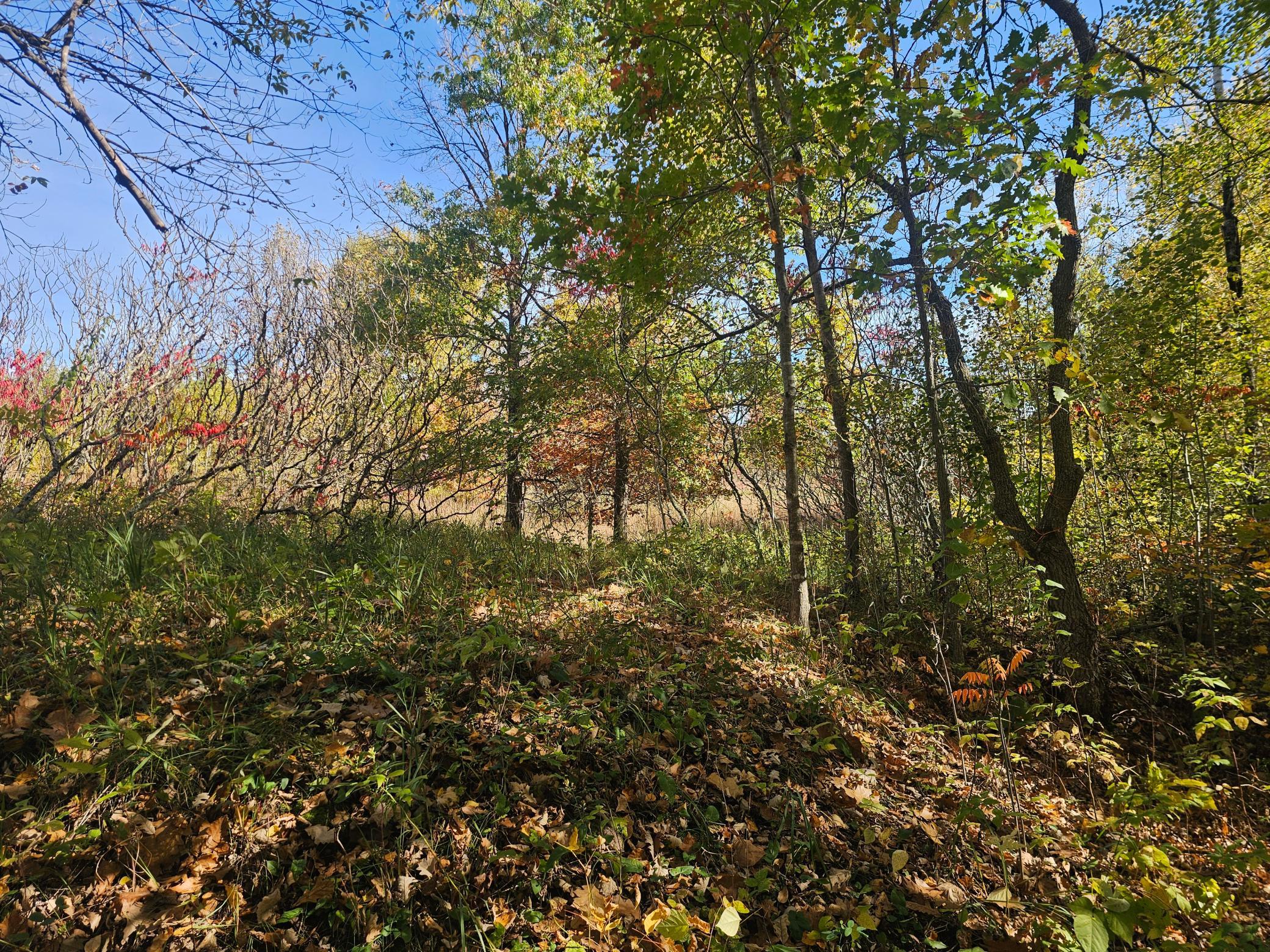 Tbd County Road 30 Property Photo 8