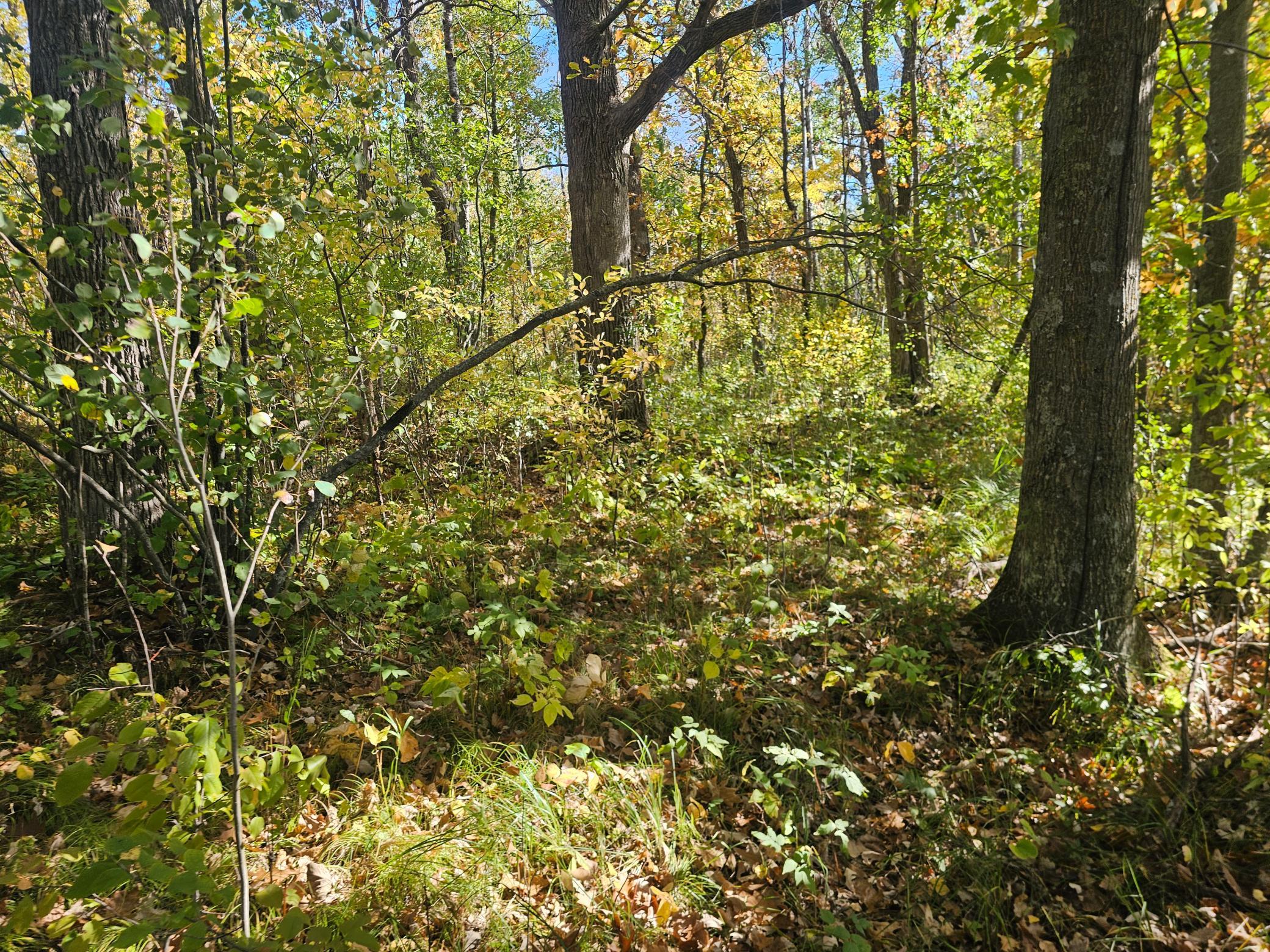 Tbd County Road 30 Property Photo 9