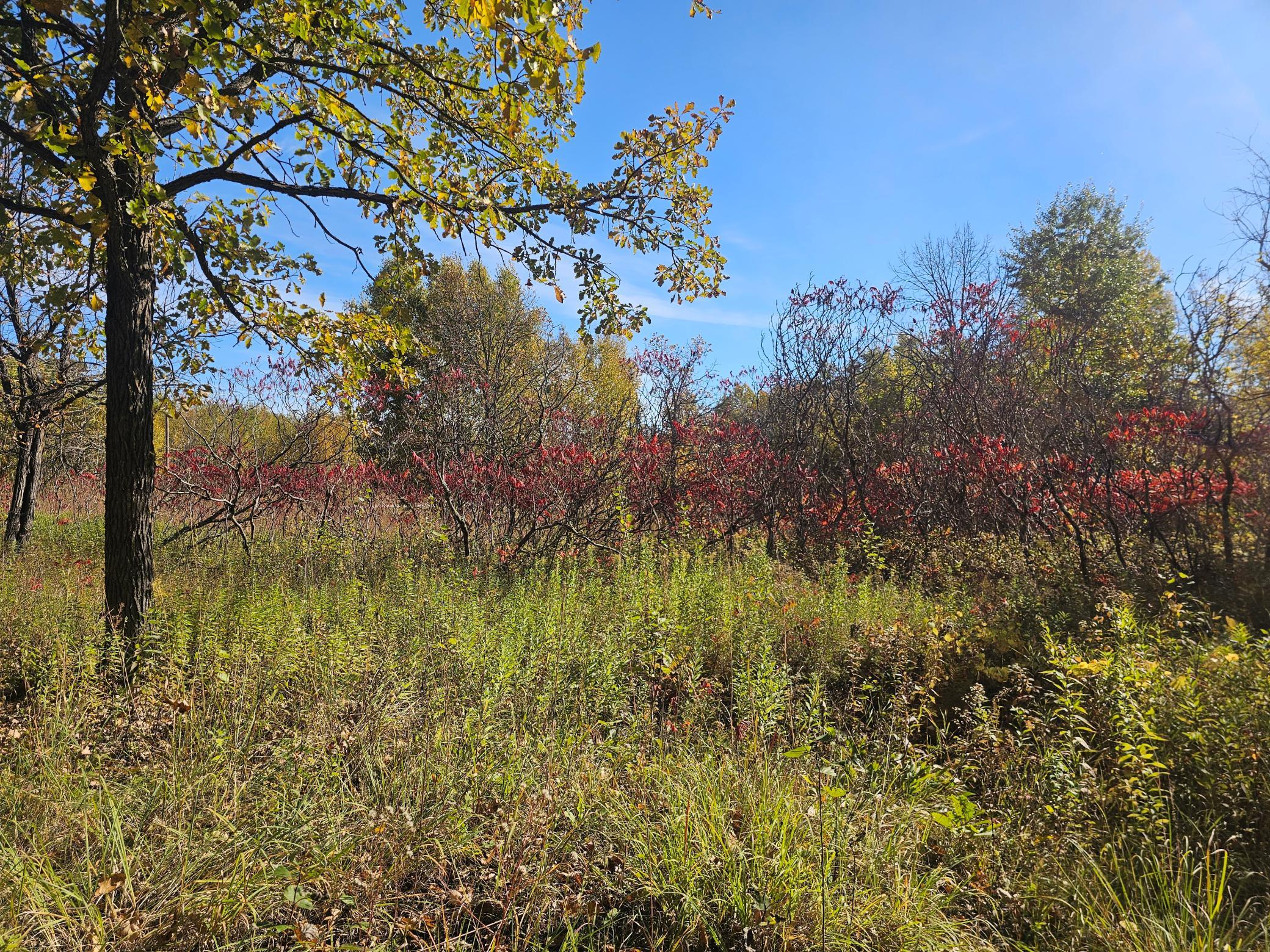Tbd County Road 30 Property Photo 11