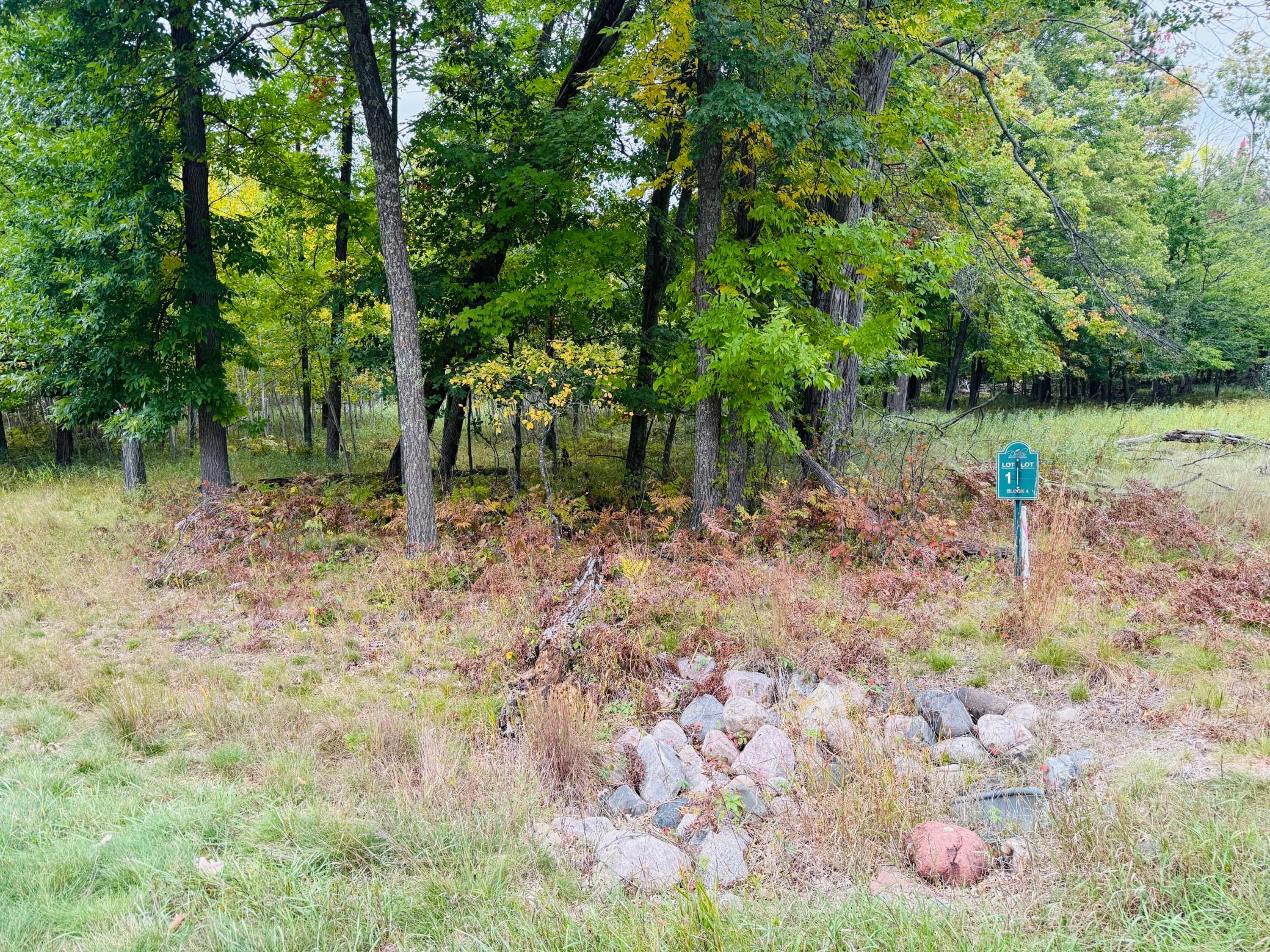 L1 B4 Drahos Road Property Photo 5