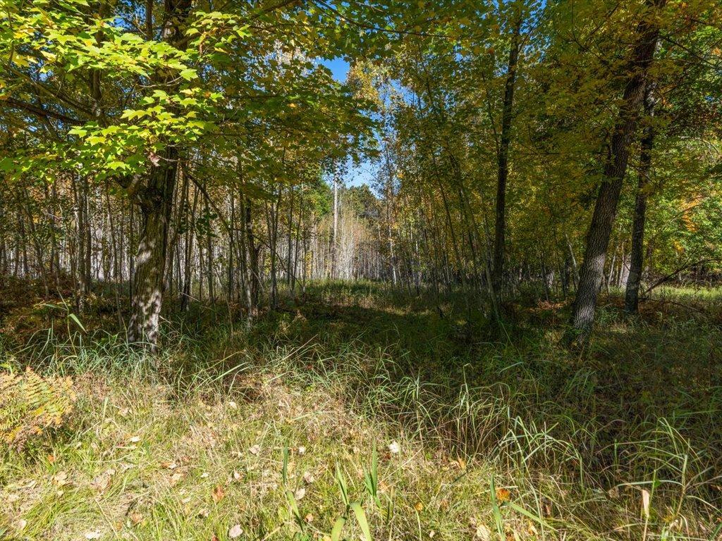 L1 B4 Drahos Road Property Photo 8