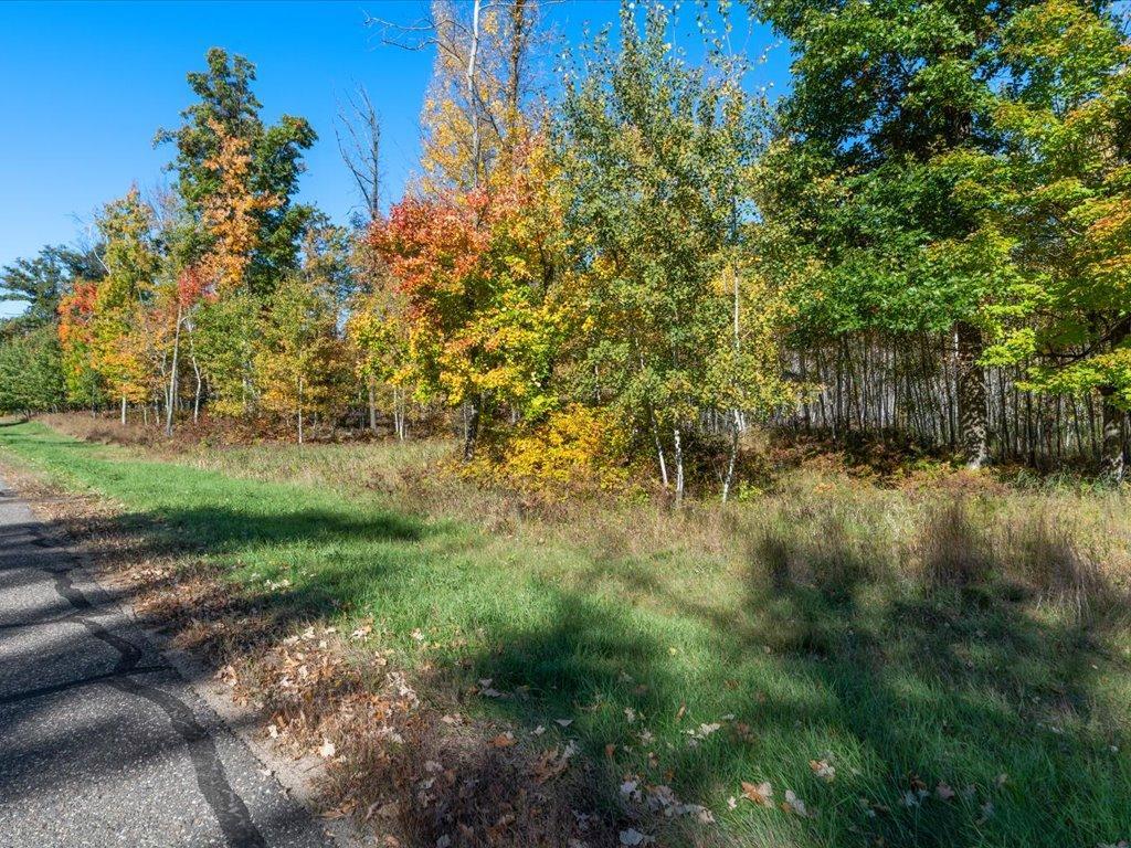 L1 B4 Drahos Road Property Photo 11