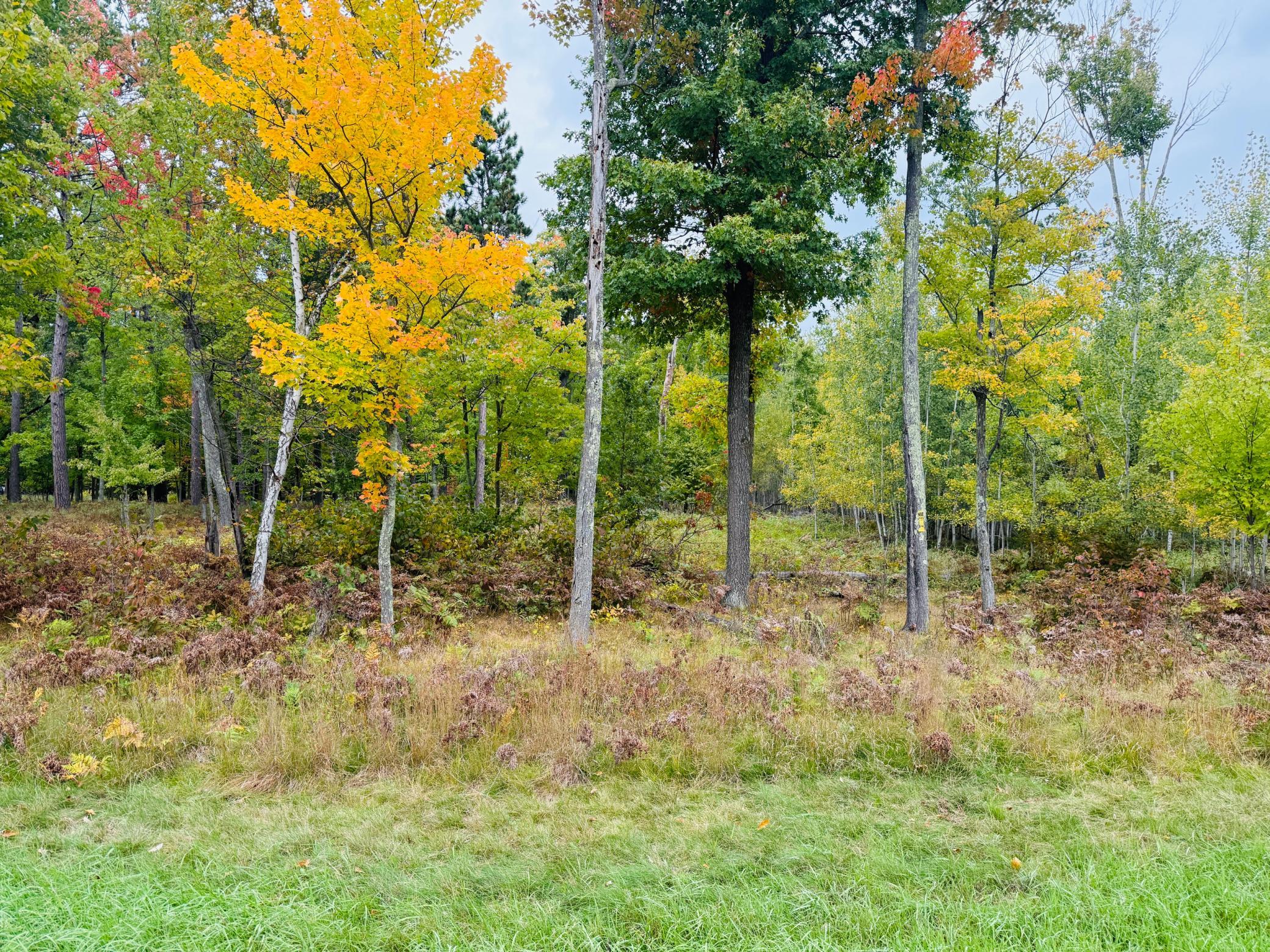 L1 B4 Drahos Road Property Photo 13