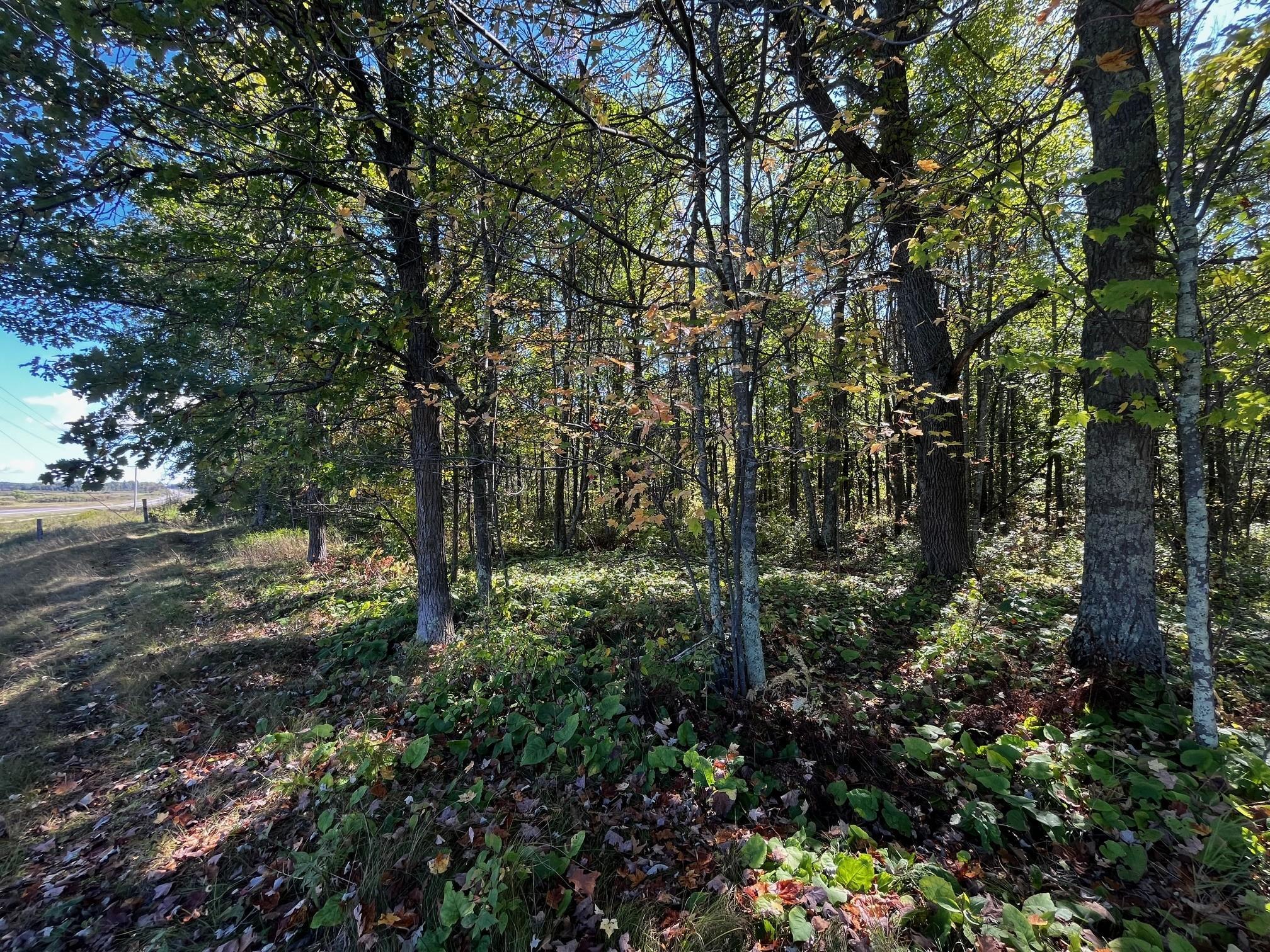Tbd County Road 2 Property Photo 8
