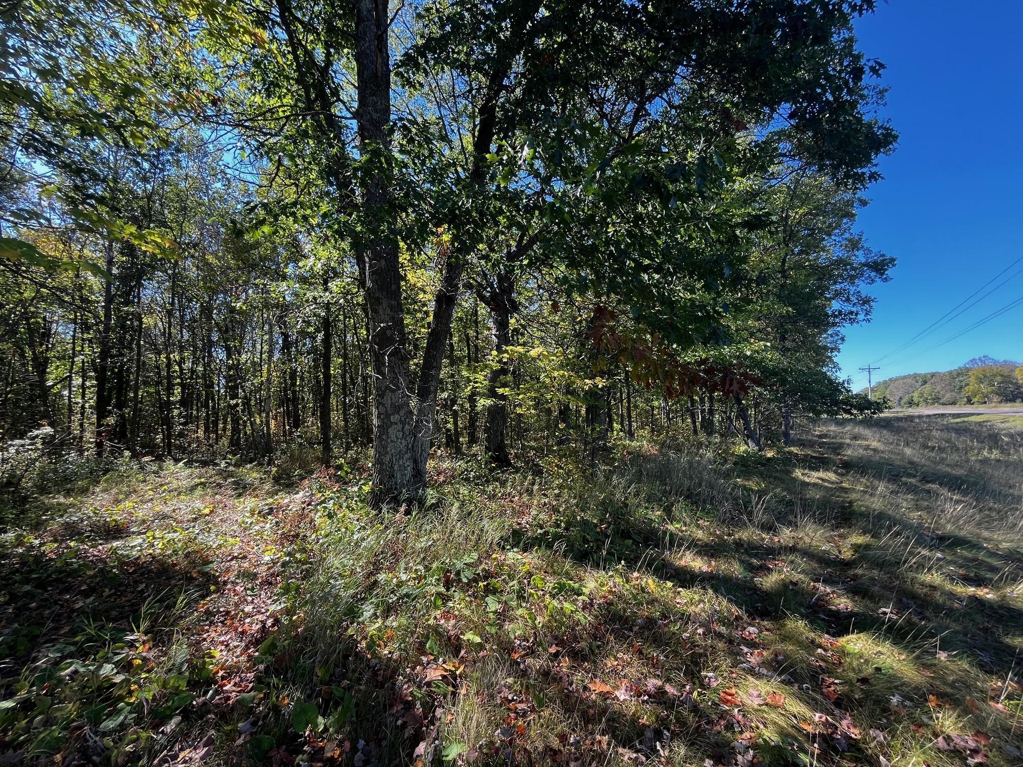 Tbd County Road 2 Property Photo 9