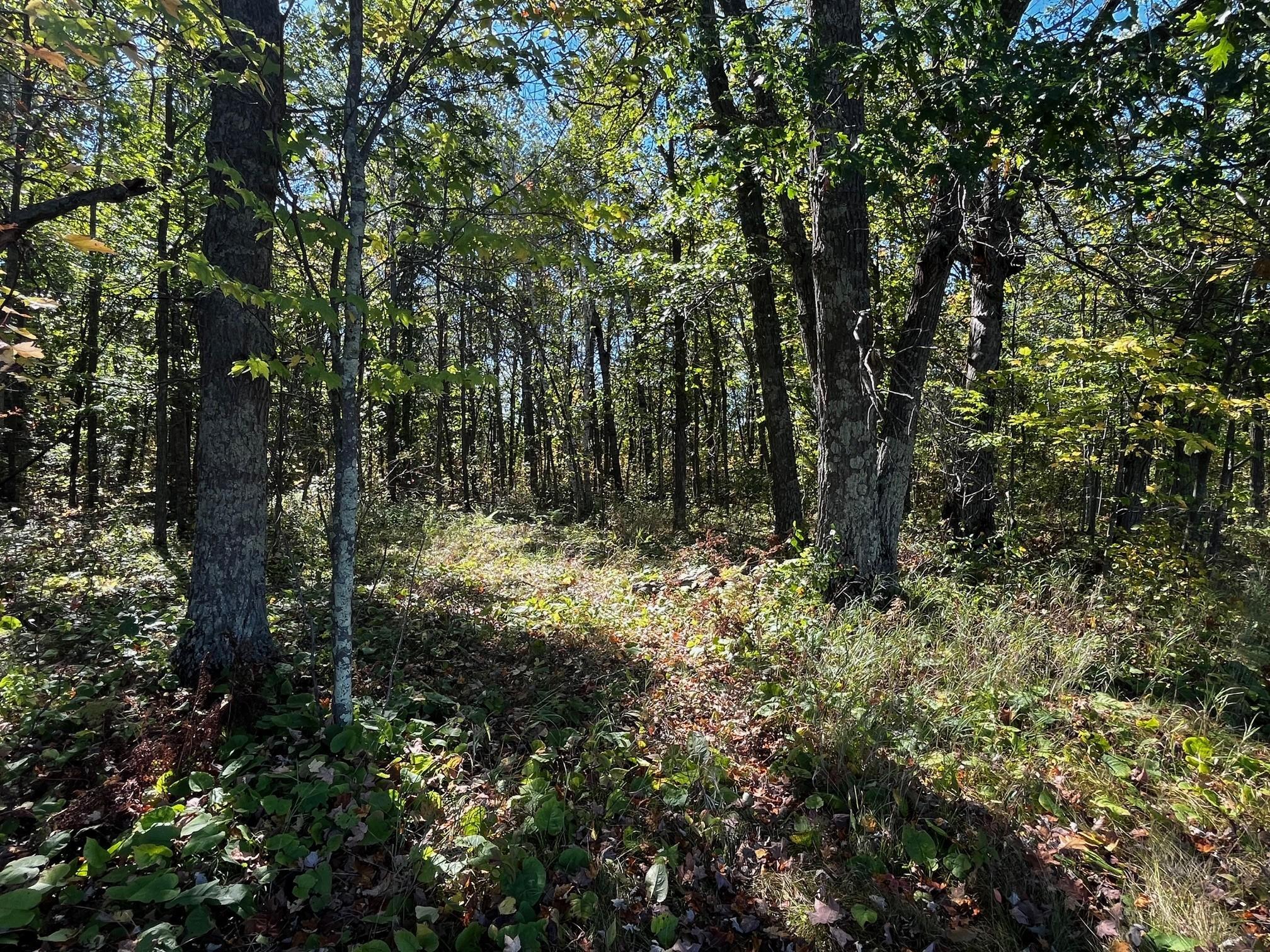 Tbd County Road 2 Property Photo 12
