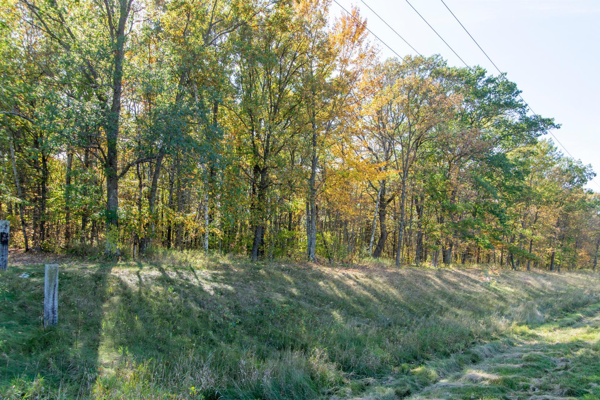 Tbd County Road 2 Property Photo 15