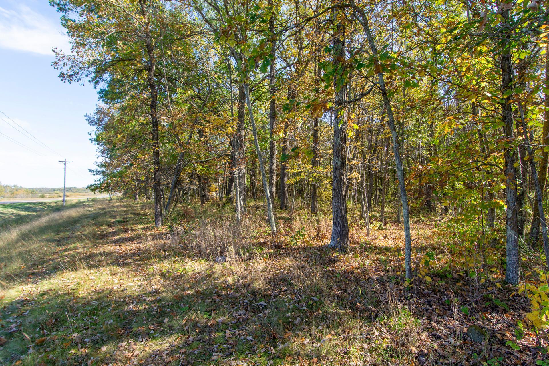 Tbd County Road 2 Property Photo 17