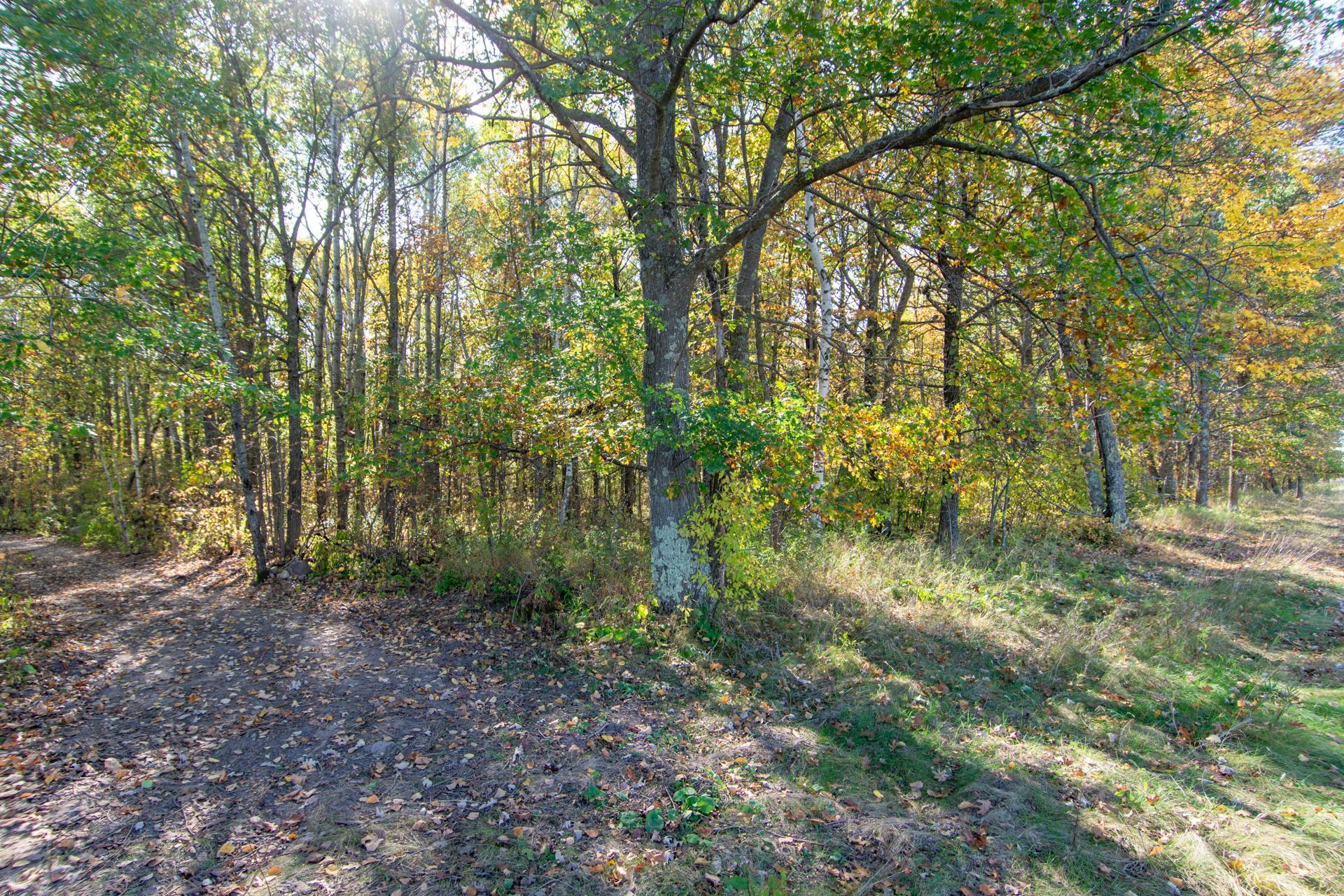 Tbd County Road 2 Property Photo 20