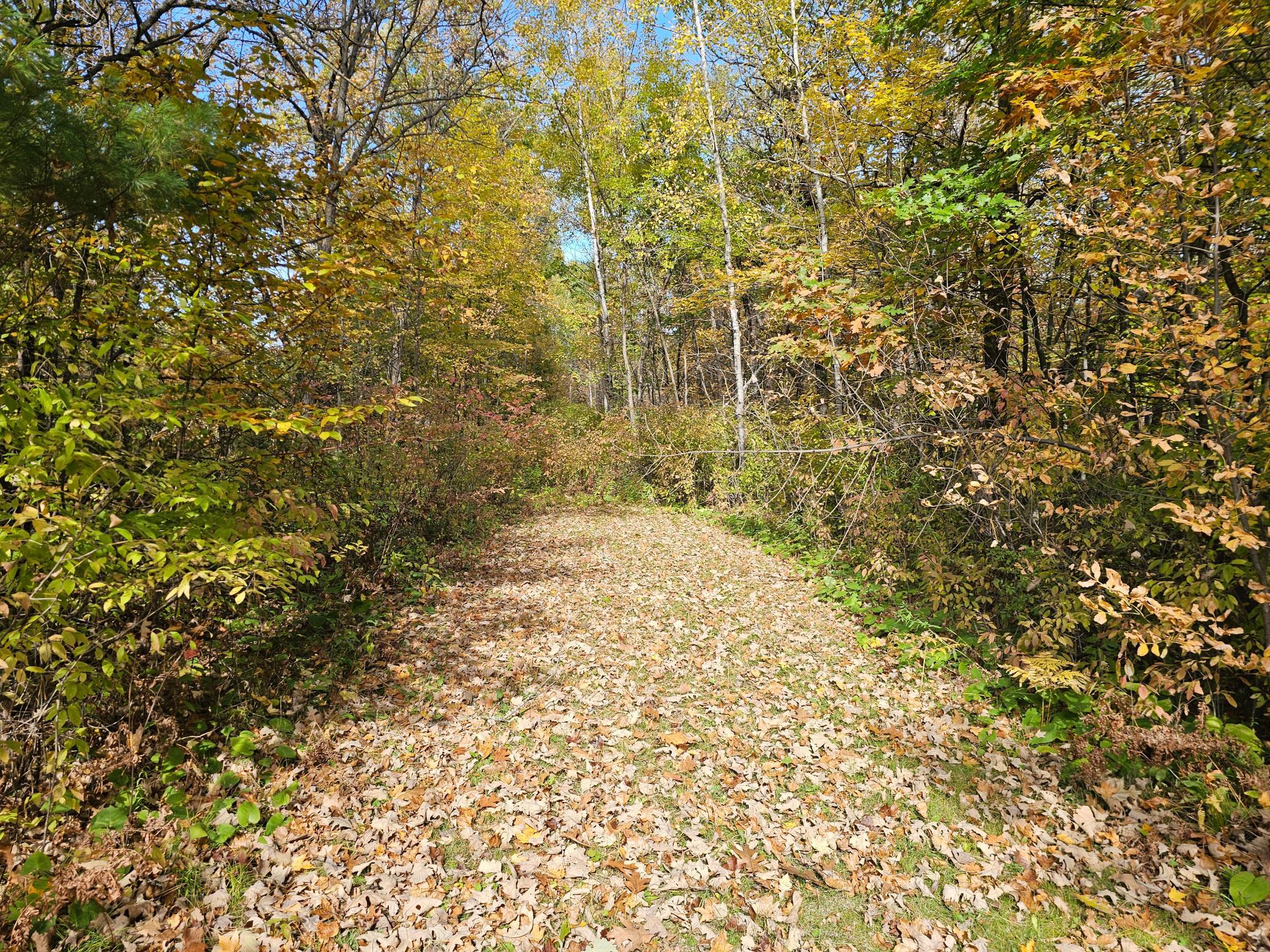 Tbd Lot 1 Bunny Lane Property Photo 1