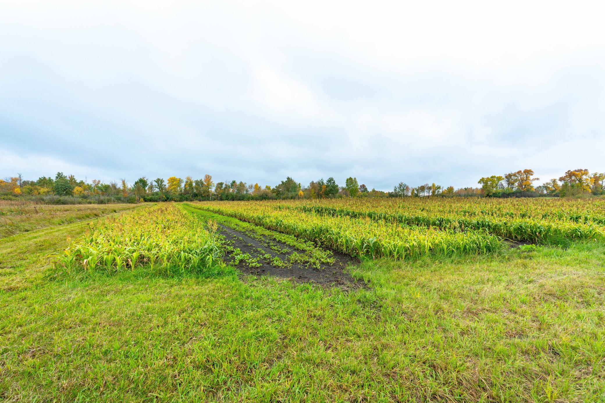 23727 County Highway 65 Property Photo 39