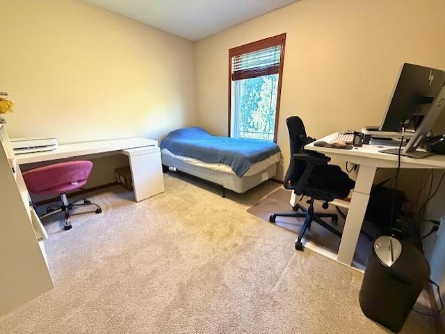 15535 Lilac Drive Property Photo 18