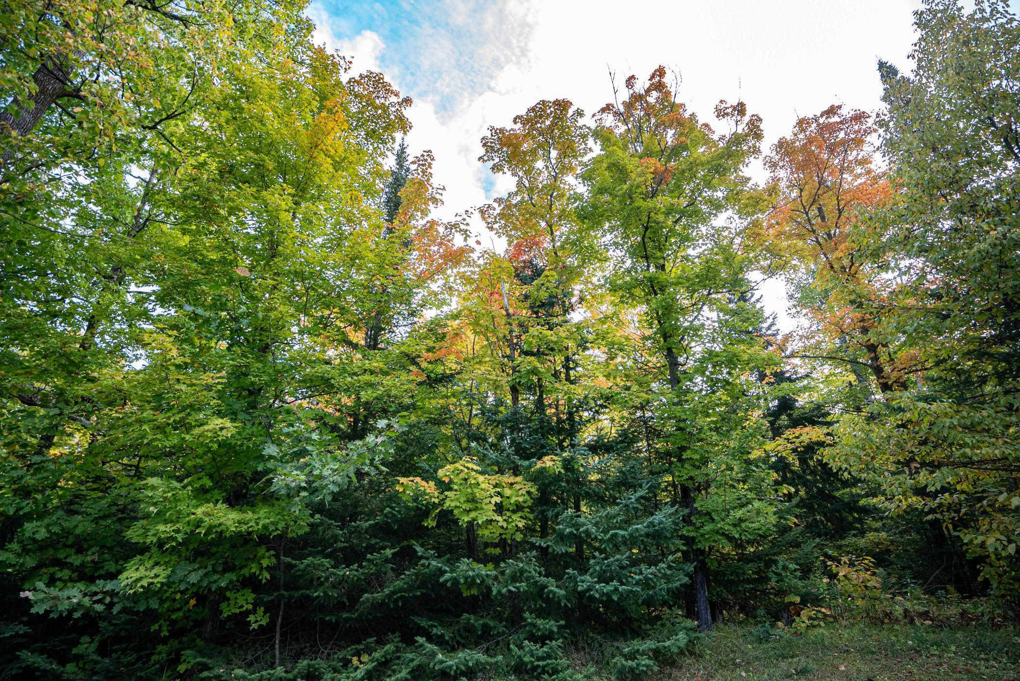 9821 Highway 2 Property Photo 43
