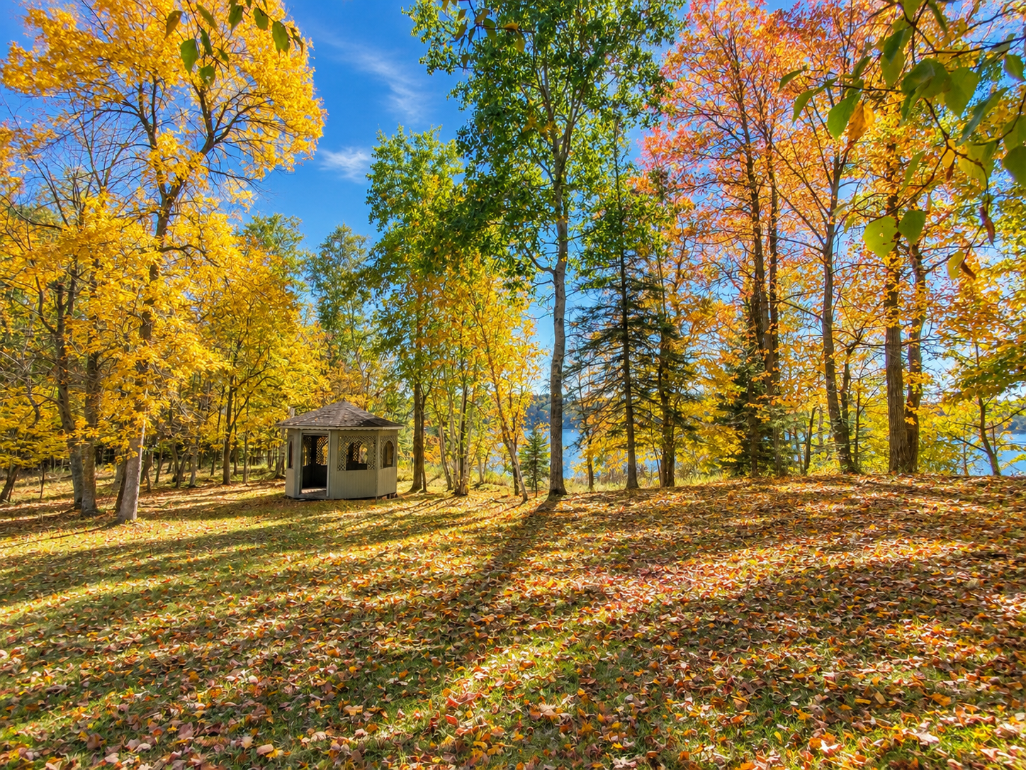 21081 Ginger Road Property Photo 3