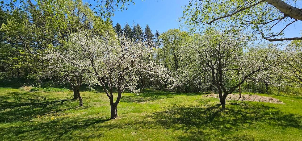 26003 Heritage Road Property Photo 42