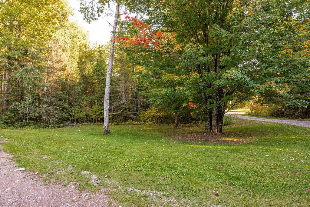 1593 Schmitz Road Property Photo 28