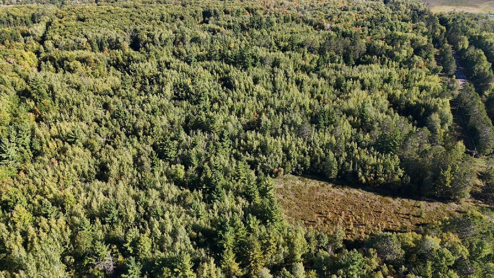 Tbd Estates Property Photo 1