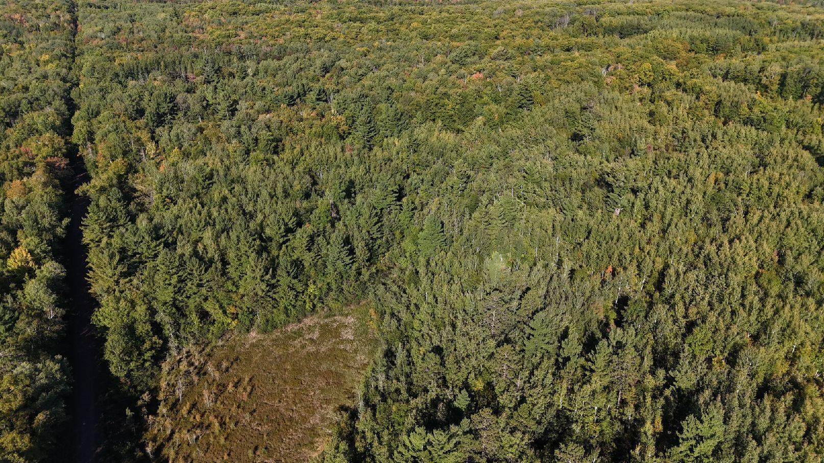 Tbd Estates Property Photo 3