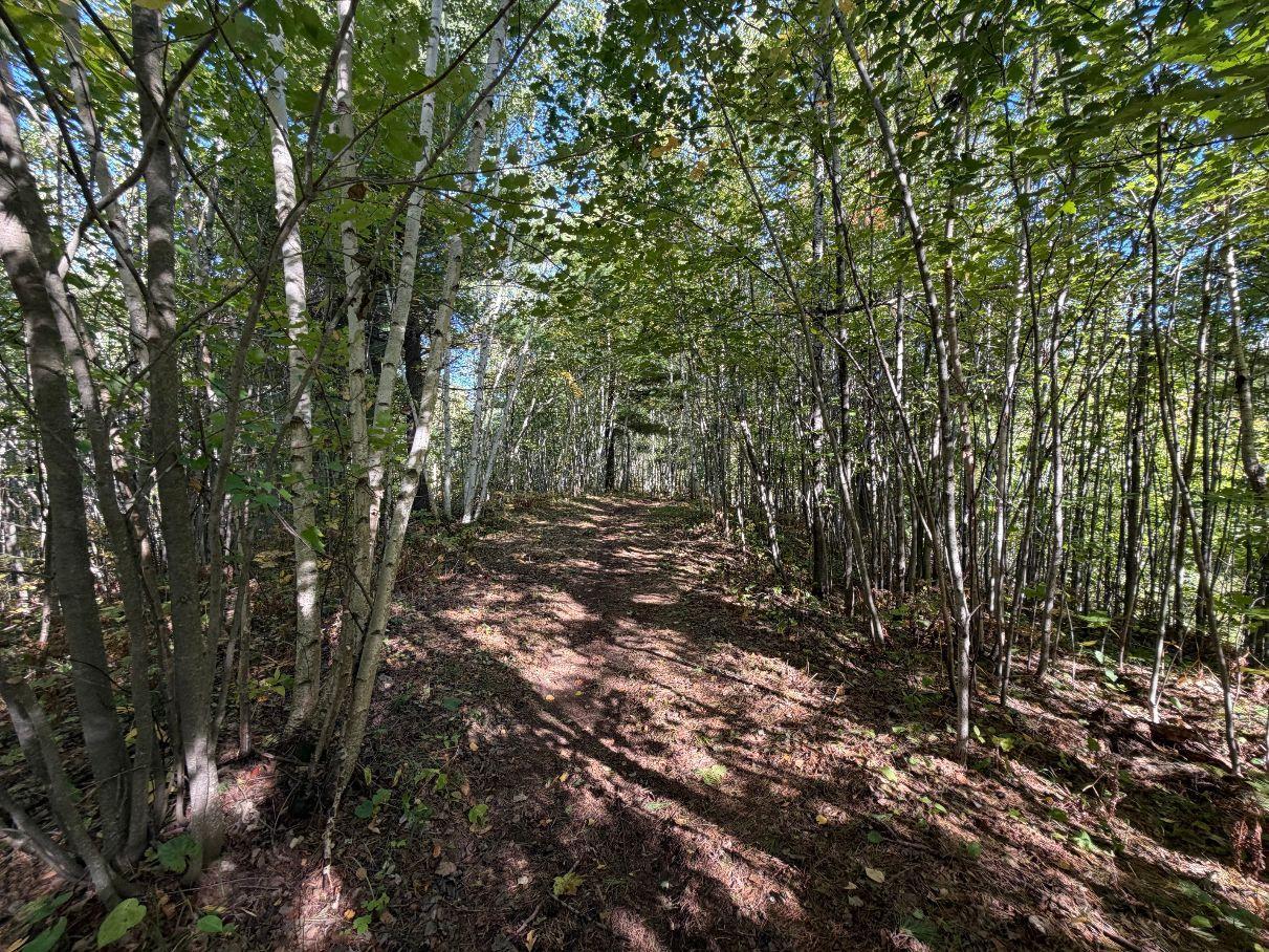 Tbd Estates Property Photo 4