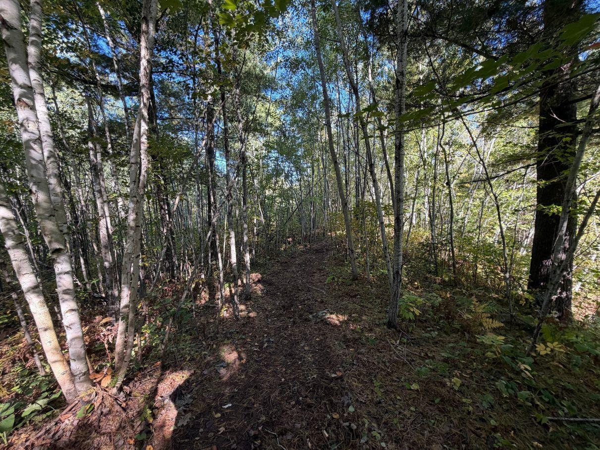 Tbd Estates Property Photo 5